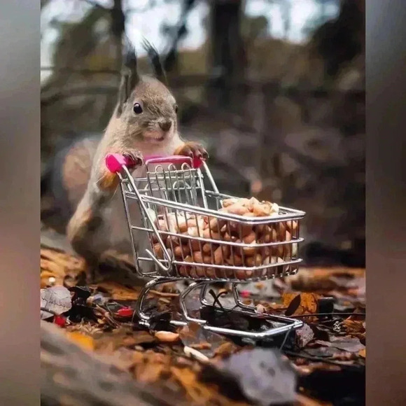 ✨HOST PICK✨🆕Women’s | Atlanta Hawks NBA Tank Top - Picture 12 of 16